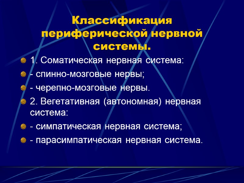 Классификация периферической нервной системы. 1. Соматическая нервная система: - спинно-мозговые нервы; - черепно-мозговые нервы.